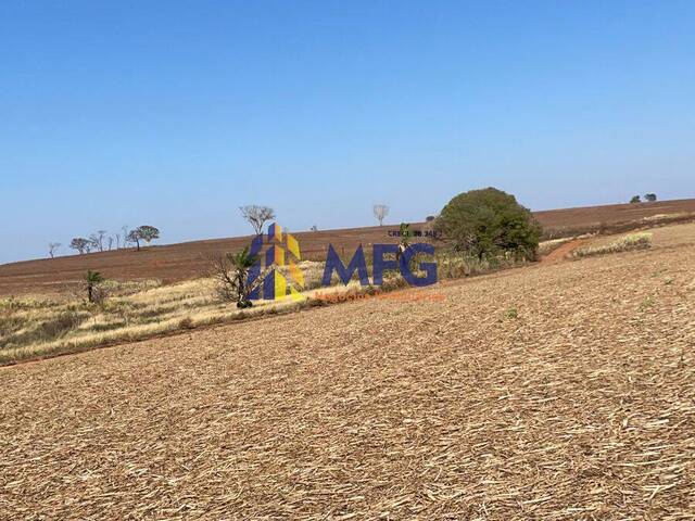 #14605 - Fazenda para Venda em Auriflama - SP - 3