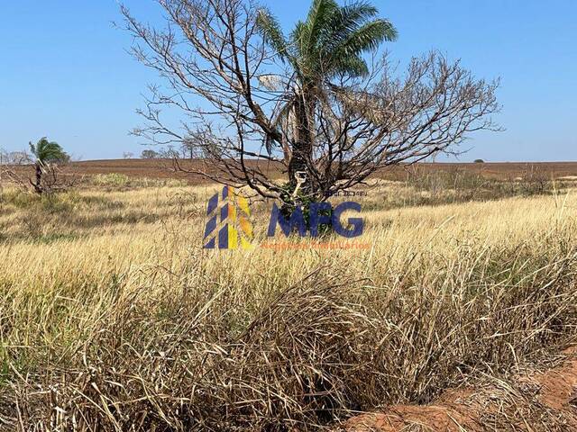 Fazenda para Venda em Auriflama - 5