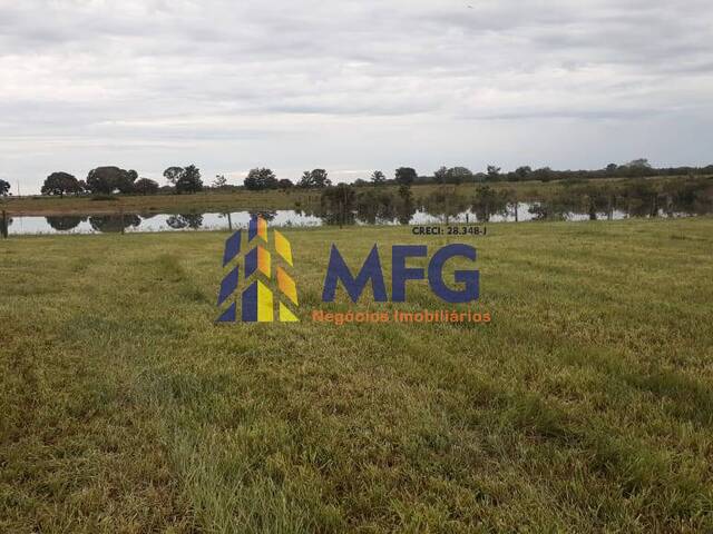 Fazenda para Venda em Alto Boa Vista - 5