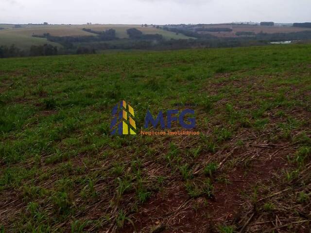#14669 - Fazenda para Venda em Itapeva - SP - 2