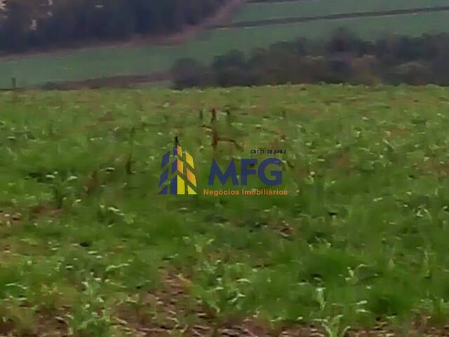 Fazenda para Venda em Itapeva - 4