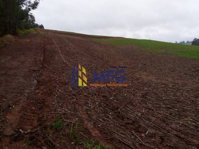 Fazenda para Venda em Itapeva - 5