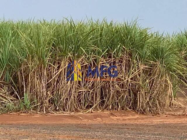 #14671 - Fazenda para Venda em Estiva Gerbi - SP - 3