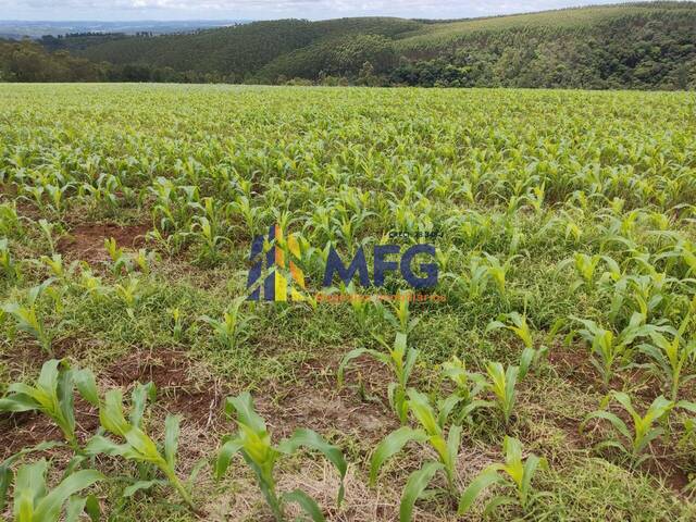 #14706 - Fazenda para Venda em Capão Bonito - SP - 3