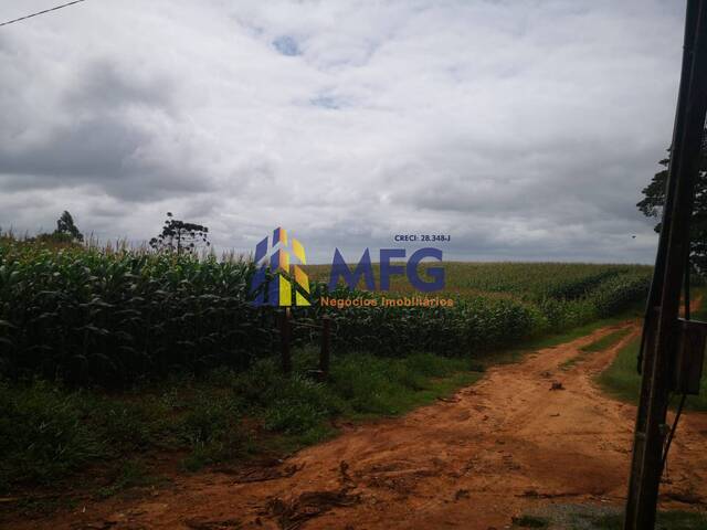 Fazenda para Venda em Capão Bonito - 5