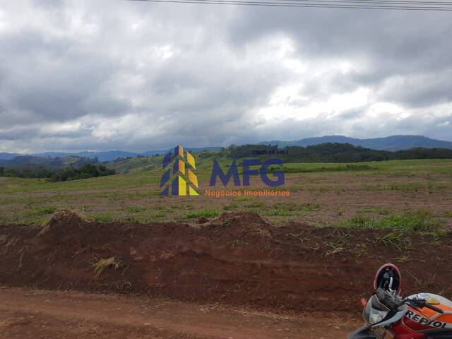 Fazenda para Venda em Ortigueira - 3