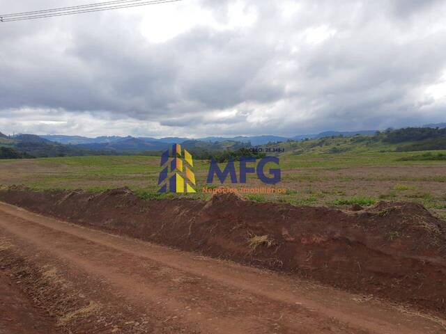 Fazenda para Venda em Ortigueira - 4