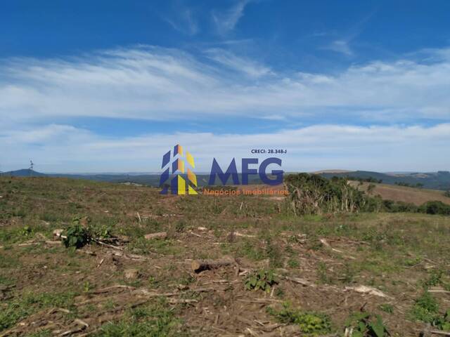 #14919 - Fazenda para Venda em Arapoti - PR - 3