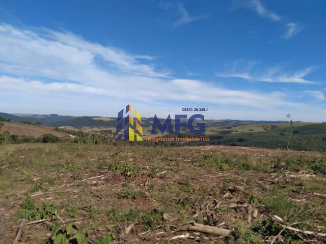Fazenda para Venda em Arapoti - 5