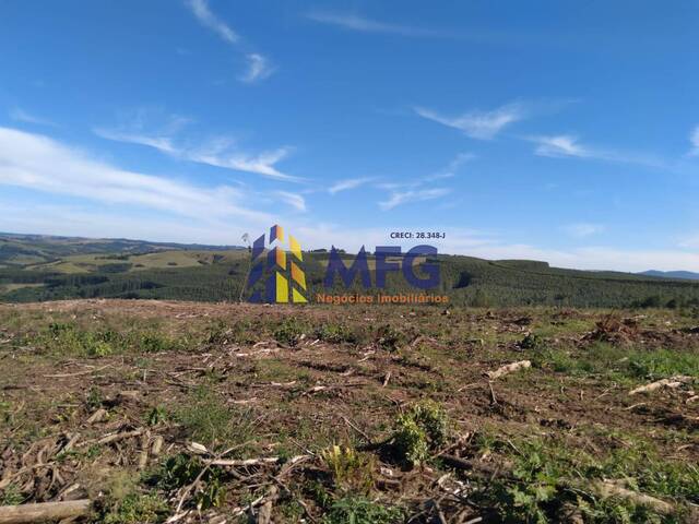 Fazenda para Venda em Arapoti - 4