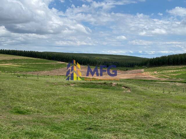 Fazenda para Venda em Echaporã - 4