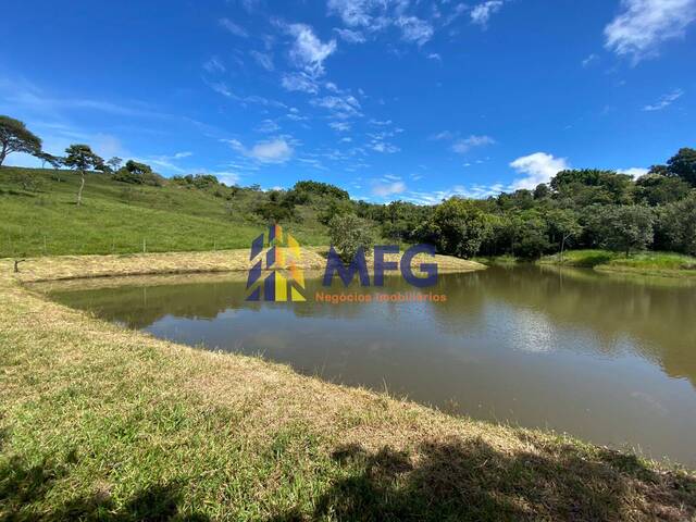 Fazenda para Venda em Echaporã - 2