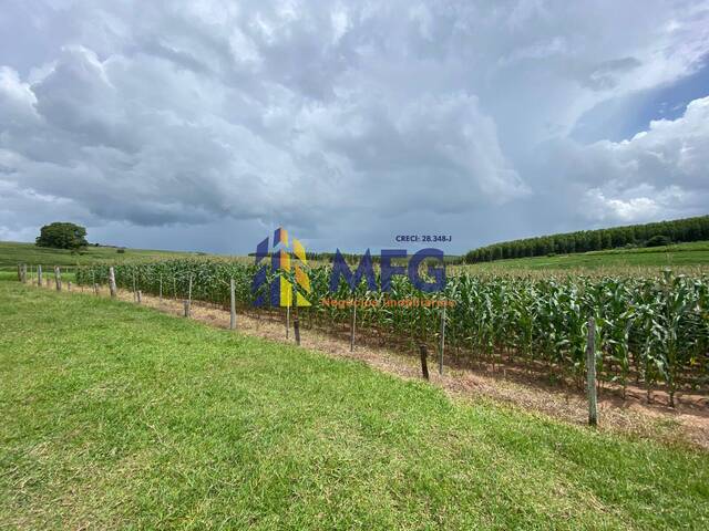 Fazenda para Venda em Echaporã - 5
