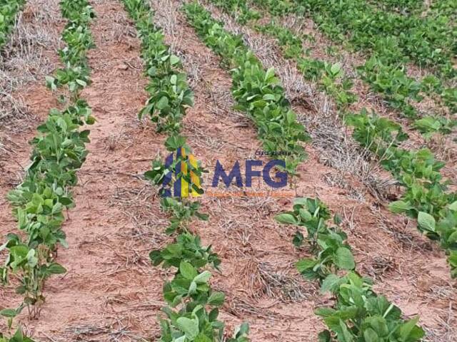 #14950 - Fazenda para Venda em Paulistânia - SP - 2