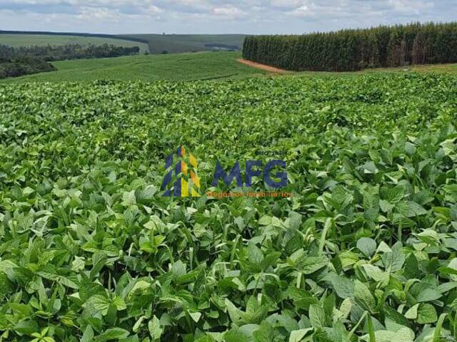 Fazenda para Venda em Paulistânia - 5