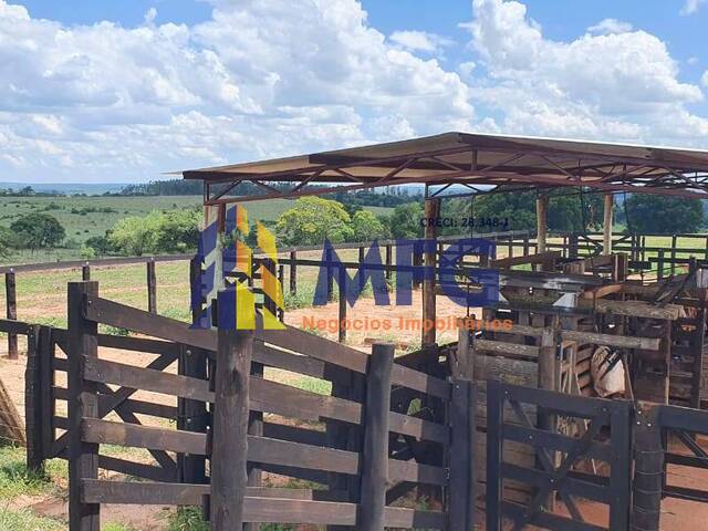 Fazenda para Venda em Paulistânia - 4