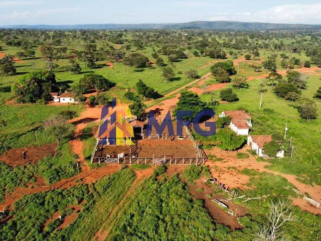 Fazenda para Venda em Tiros - 4