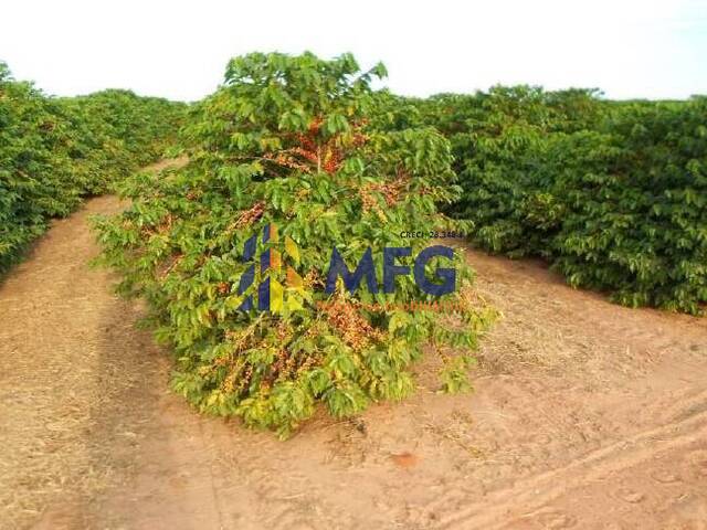 Fazenda para Venda em Franca - 3