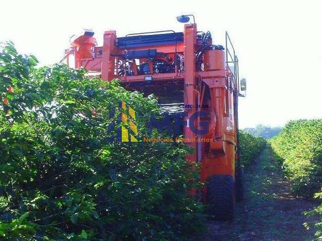 Fazenda para Venda em Franca - 4