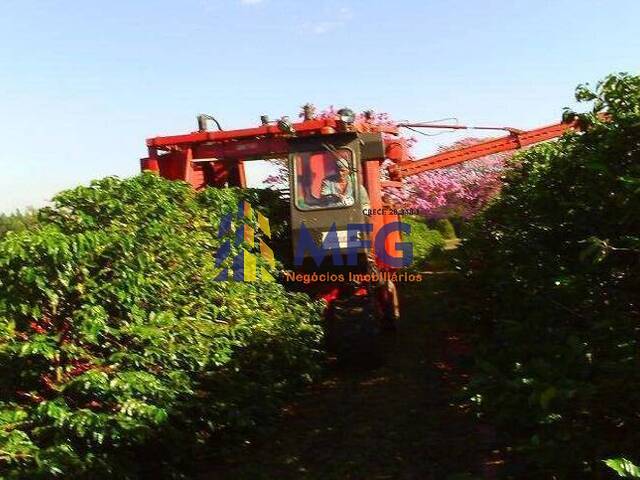 Fazenda para Venda em Franca - 5