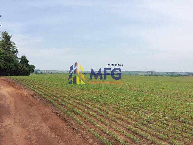 Fazenda para Venda em Avaré - 3