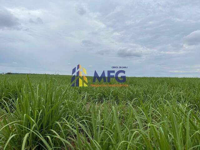 #15321 - Fazenda para Venda em Araraquara - SP - 3