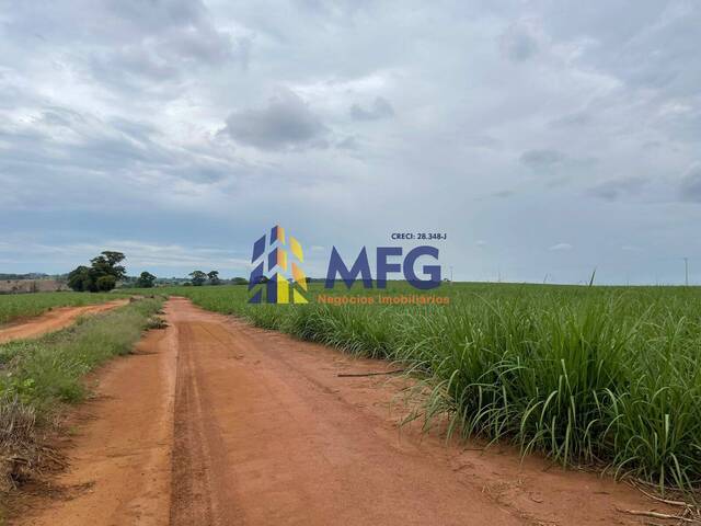 #15321 - Fazenda para Venda em Araraquara - SP - 2