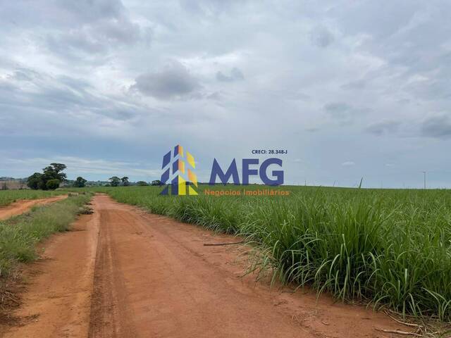 Venda em Área Rural de Araraquara - Araraquara