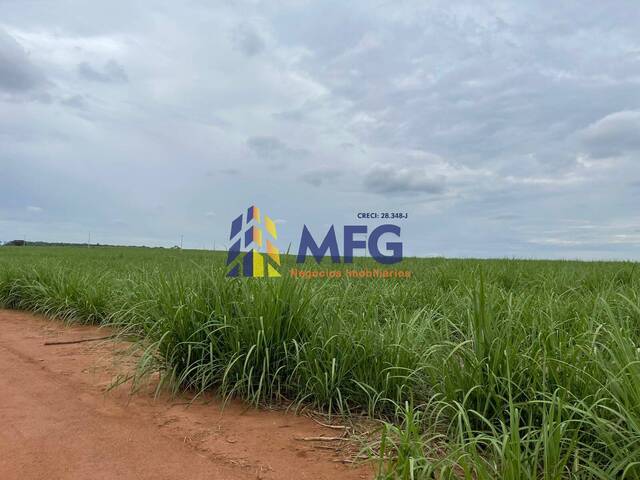 Fazenda para Venda em Araraquara - 5