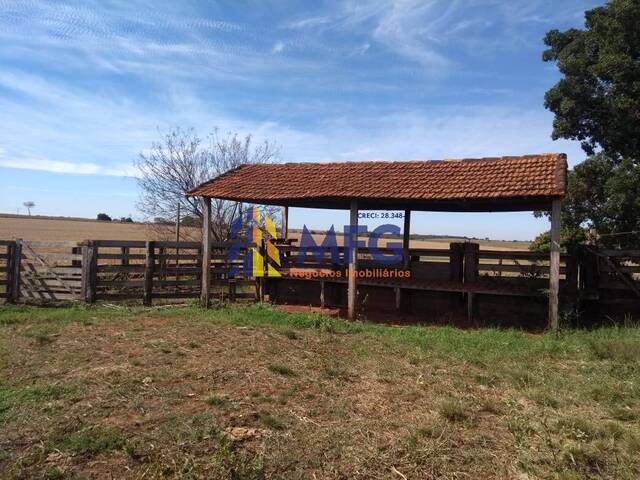#15324 - Fazenda para Venda em Suzanápolis - SP - 3