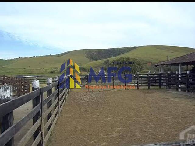 Fazenda para Venda em Roseira - 2