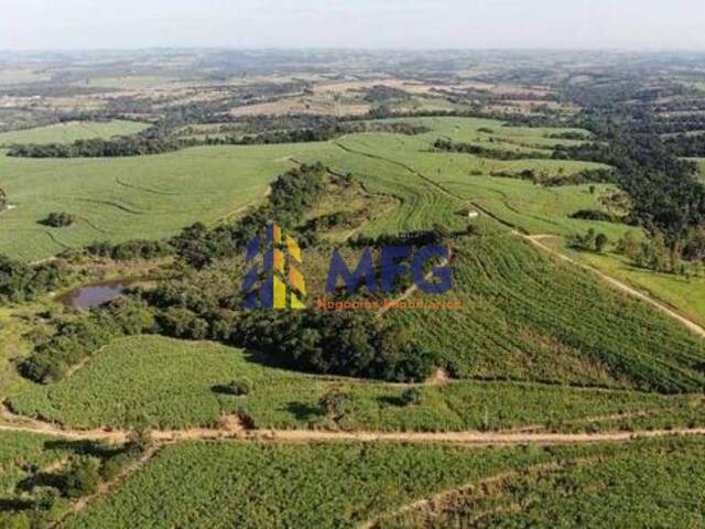 Fazenda para Venda em Capela do Alto - 3