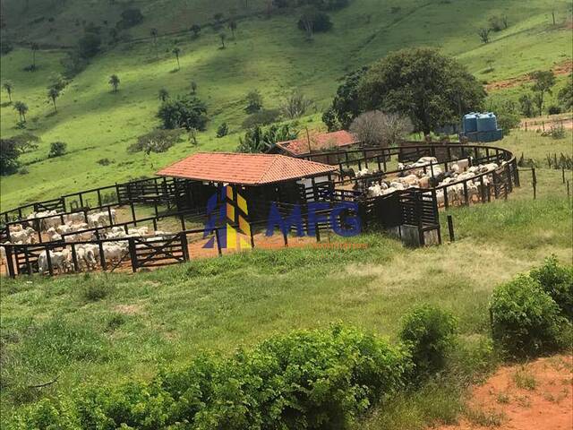 Fazenda para Venda em Itapira - 2