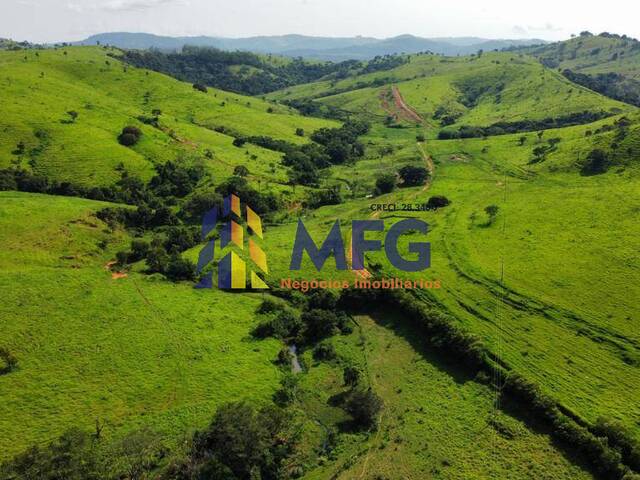 Fazenda para Venda em Itapira - 3