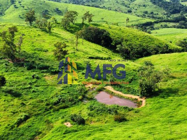 Fazenda para Venda em Itapira - 4