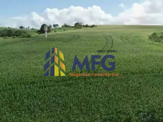 #15371 - Fazenda para Venda em Capão Bonito - SP - 2
