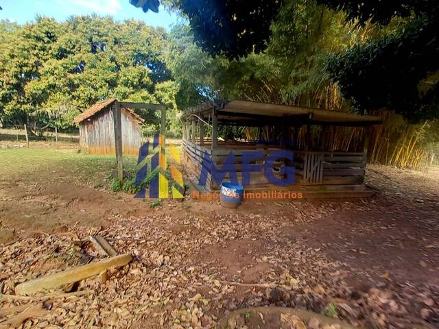 Fazenda para Venda em Pardinho - 2