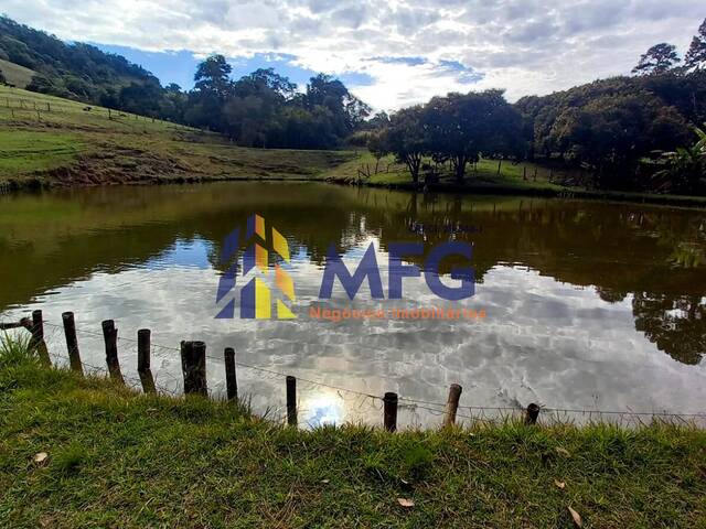 Fazenda para Venda em Pardinho - 5