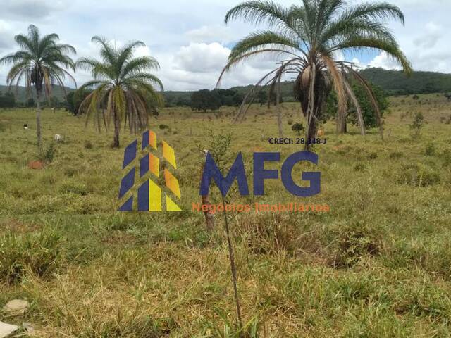 #15391 - Fazenda para Venda em Diamantina - MG - 3