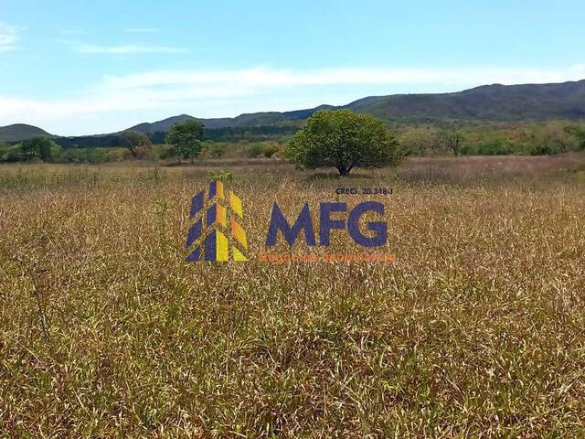 Fazenda para Venda em Diamantina - 4