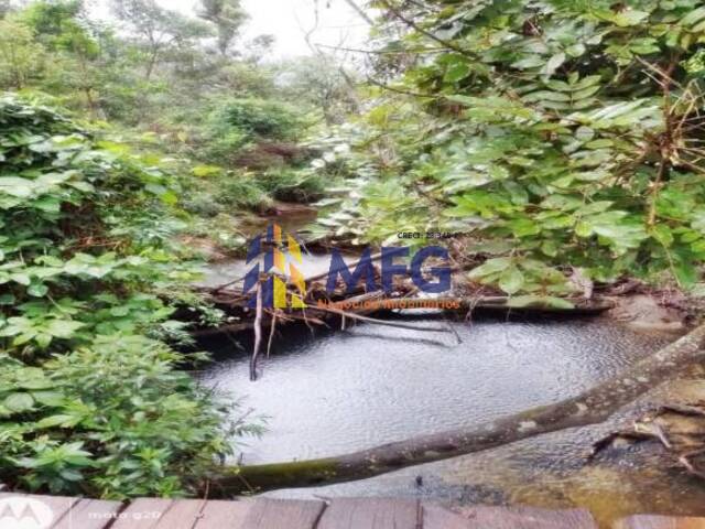 #15467 - Fazenda para Venda em São Roque de Minas - MG - 2