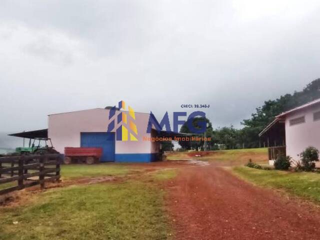 Fazenda para Venda em São Roque de Minas - 4