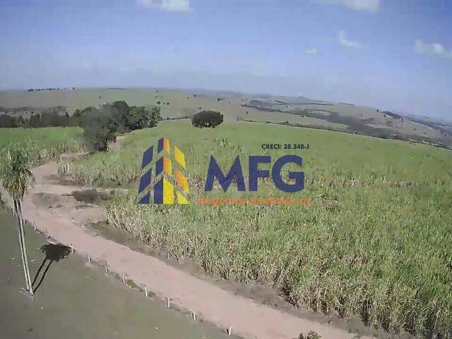 Fazenda para Venda em Conchas - 2