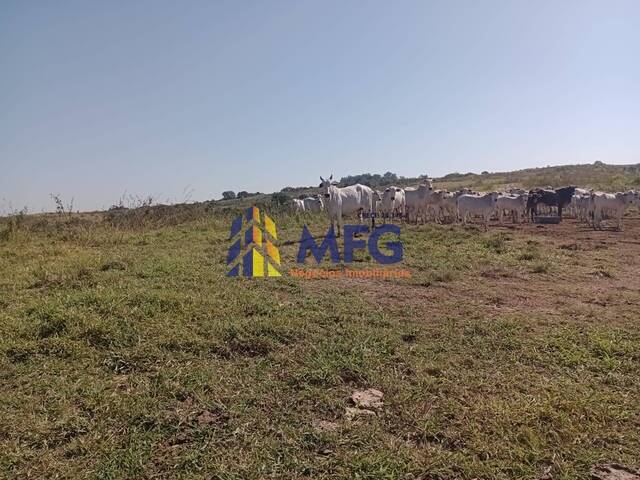 #15484 - Fazenda para Venda em Tietê - SP - 3