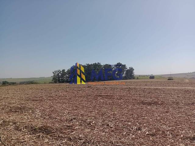 Fazenda para Venda em Tietê - 4