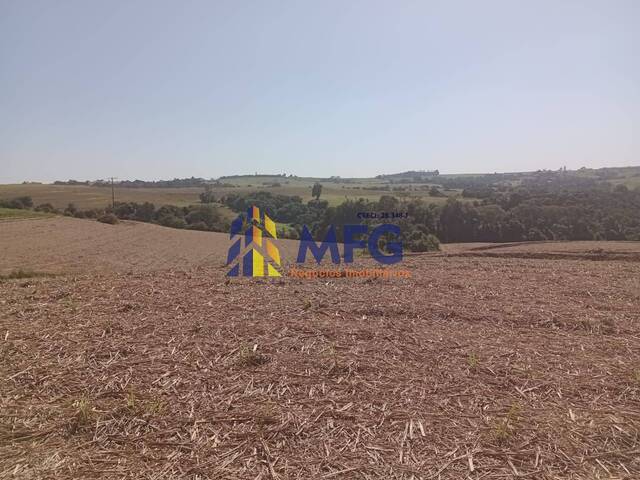 Fazenda para Venda em Tietê - 5