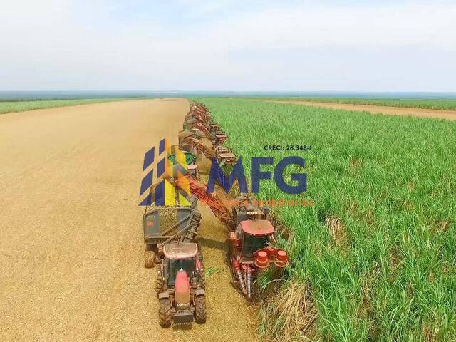 Fazenda para Venda em Iacanga - 1