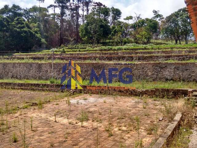 Venda em Área Rural de Amparo - Amparo