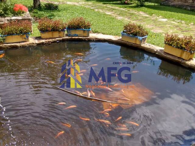 #15719 - Fazenda para Venda em Amparo - SP - 3