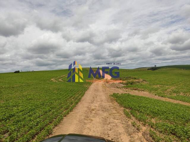 #15730 - Fazenda para Venda em Itapeva - SP - 2